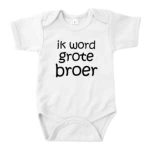 Grote broer